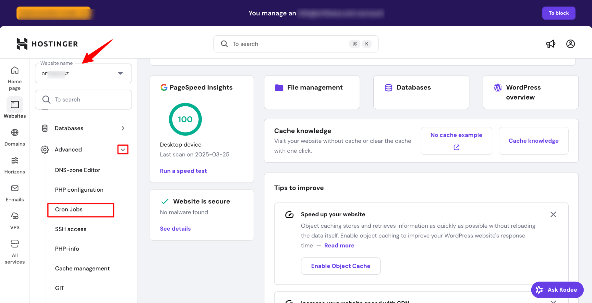 hit cron jobs in hostinger