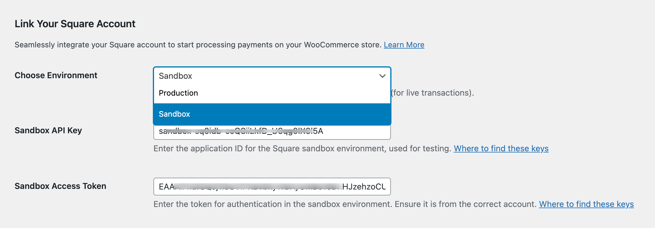 link to your square account sandbox