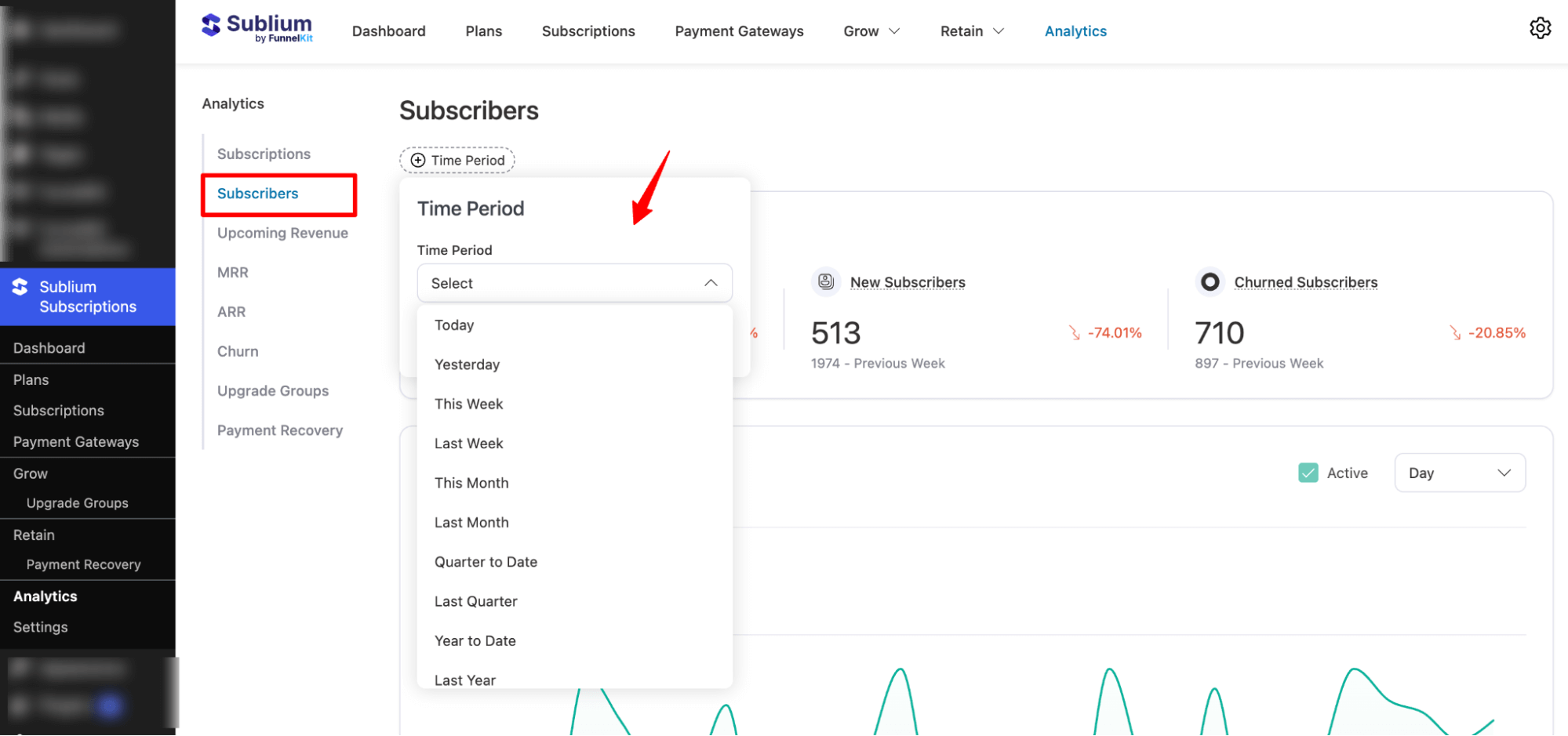 choose time period to see Subscribers analytics