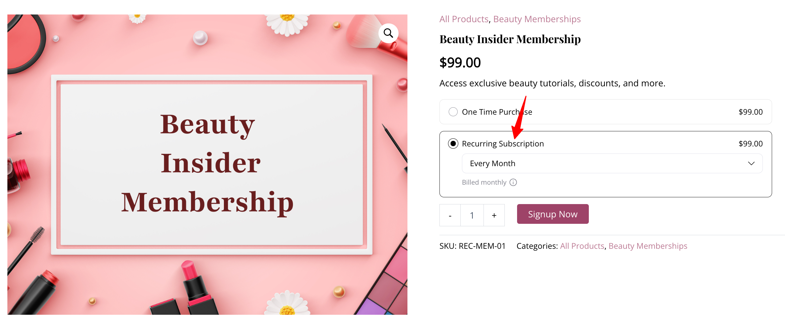 Recurring Subscription