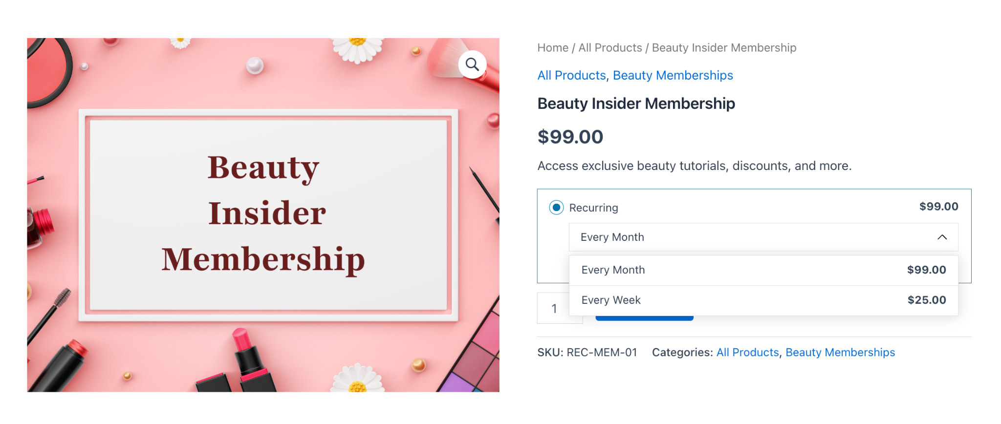 Product page showing subscription plan options after affiliate referral landing